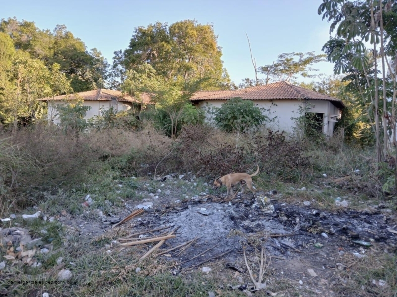 Foto 3 de 14: Terreno em leilão em Imperatriz - MA — LOTE 001 Imóvel