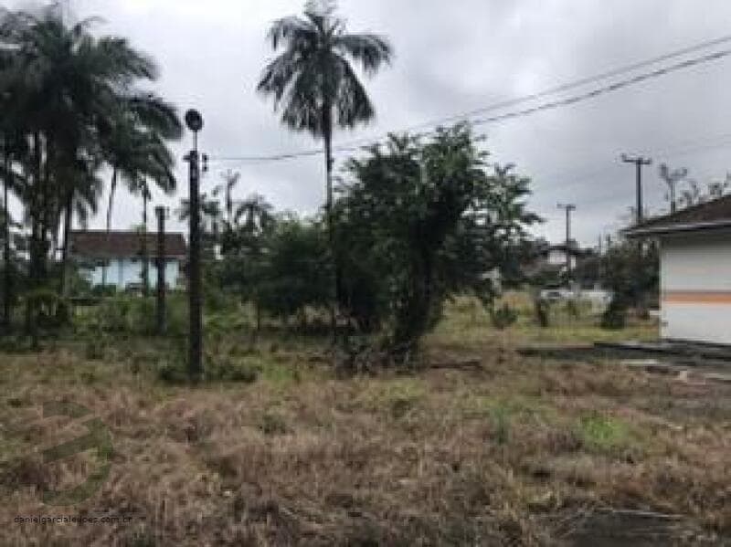 Foto 12 de 26: Terreno em leilão em Joinville - SC — LOTE 001 Imóvel