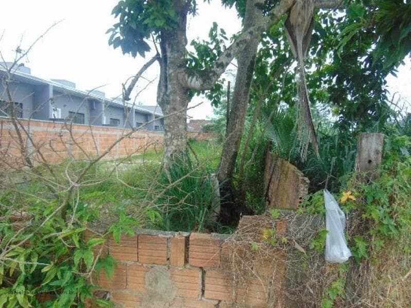 Foto 7 de 22: Terreno em leilão em Joinville - SC — LOTE 003 Imóvel