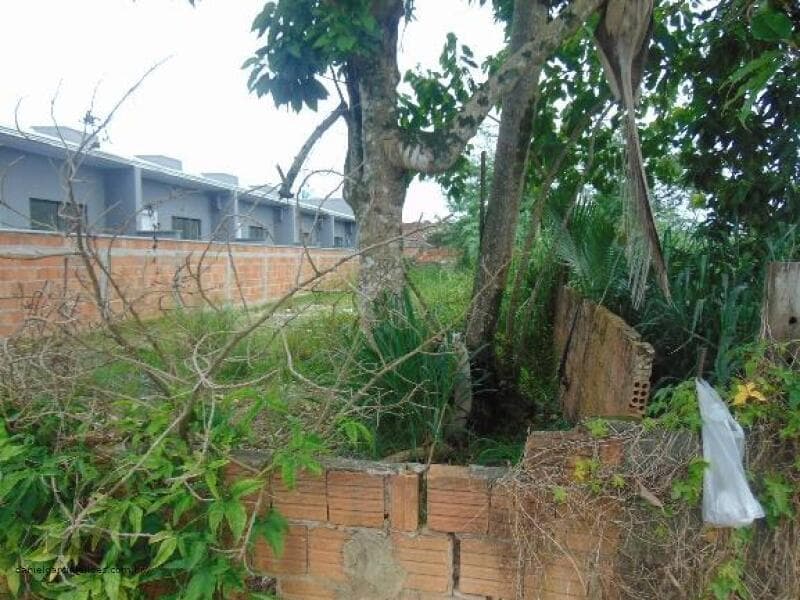Foto 8 de 22: Terreno em leilão em Joinville - SC — LOTE 003 Imóvel