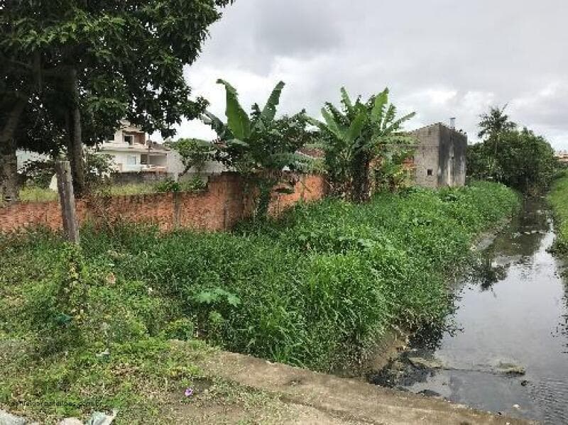 Foto 14 de 22: Terreno em leilão em Joinville - SC — LOTE 003 Imóvel