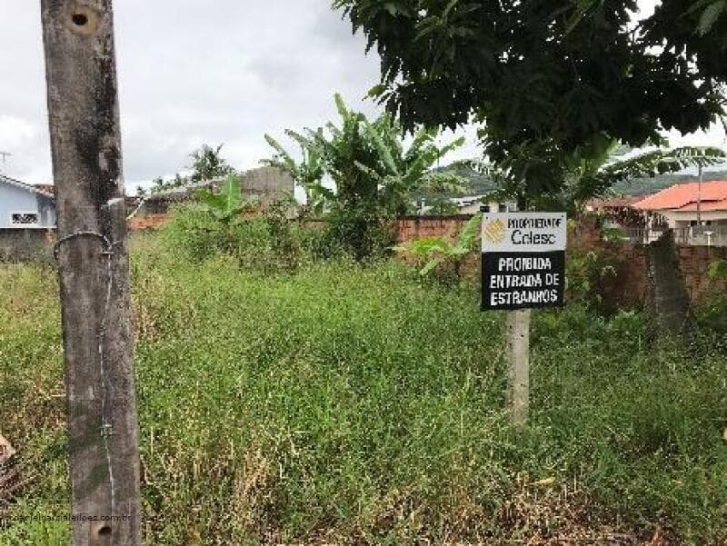 Foto 22 de 22: Terreno em leilão em Joinville - SC — LOTE 003 Imóvel
