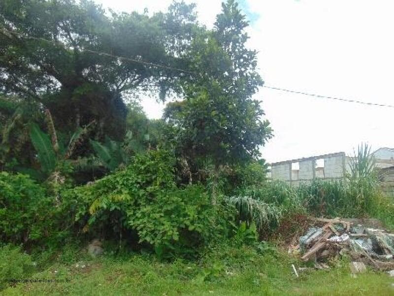 Foto 4 de 6: Terreno em leilão em Itapoá - SC — LOTE 004 Imóvel