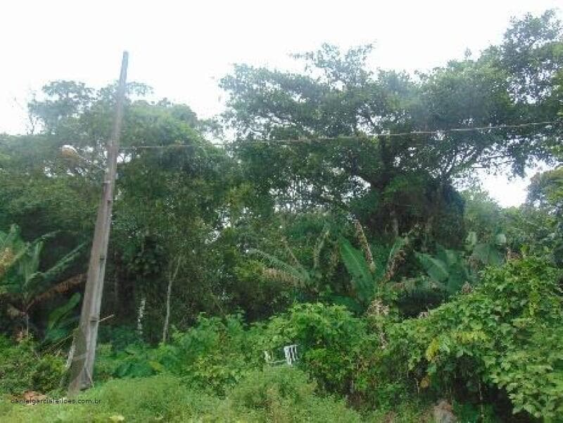 Foto 6 de 6: Terreno em leilão em Itapoá - SC — LOTE 004 Imóvel