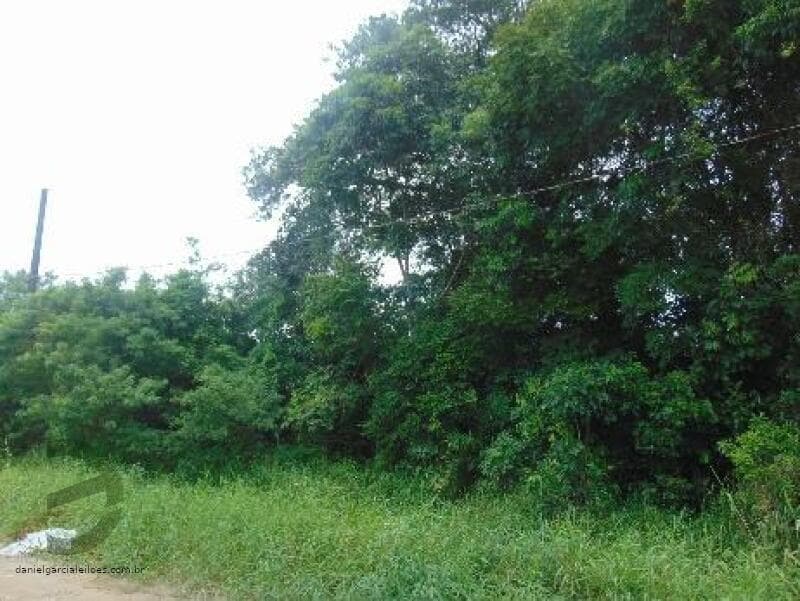 Foto 5 de 6: Terreno em leilão em Itapoá - SC — LOTE 005 Imóvel