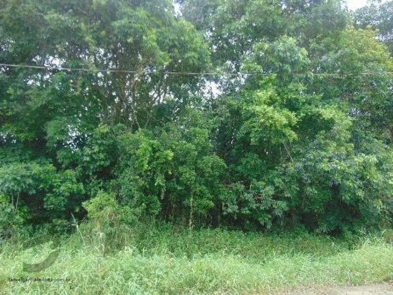 Foto 6 de 6: Terreno em leilão em Itapoá - SC — LOTE 005 Imóvel