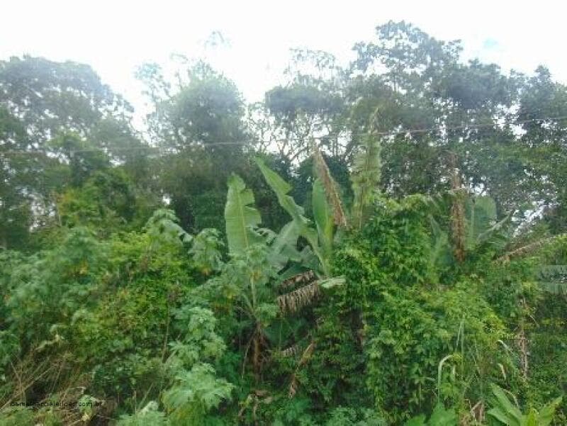 Foto 4 de 6: Terreno em leilão em Itapoá - SC — LOTE 008 Imóvel