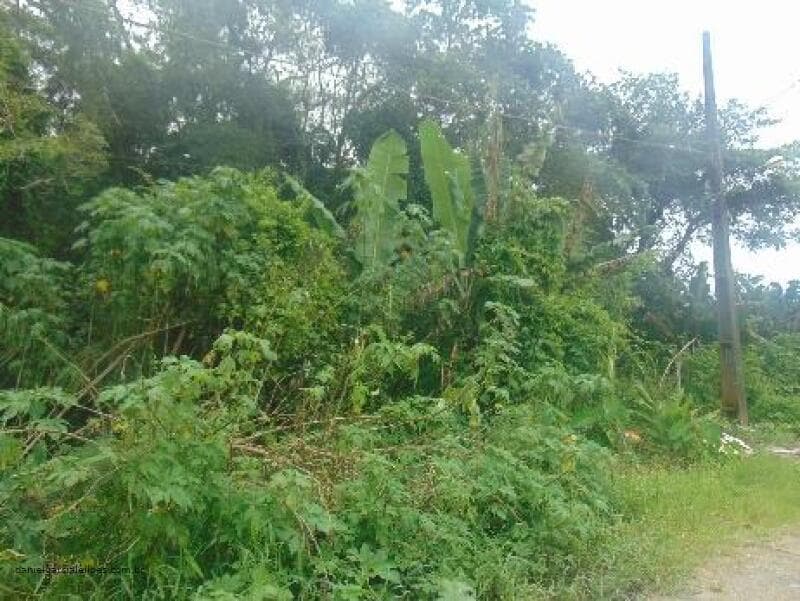 Foto 5 de 6: Terreno em leilão em Itapoá - SC — LOTE 008 Imóvel