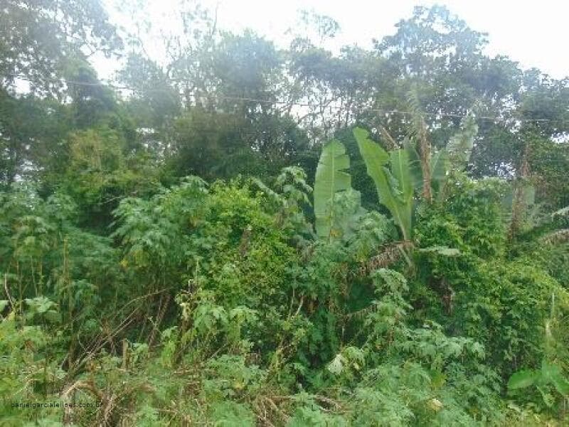 Foto 6 de 6: Terreno em leilão em Itapoá - SC — LOTE 008 Imóvel