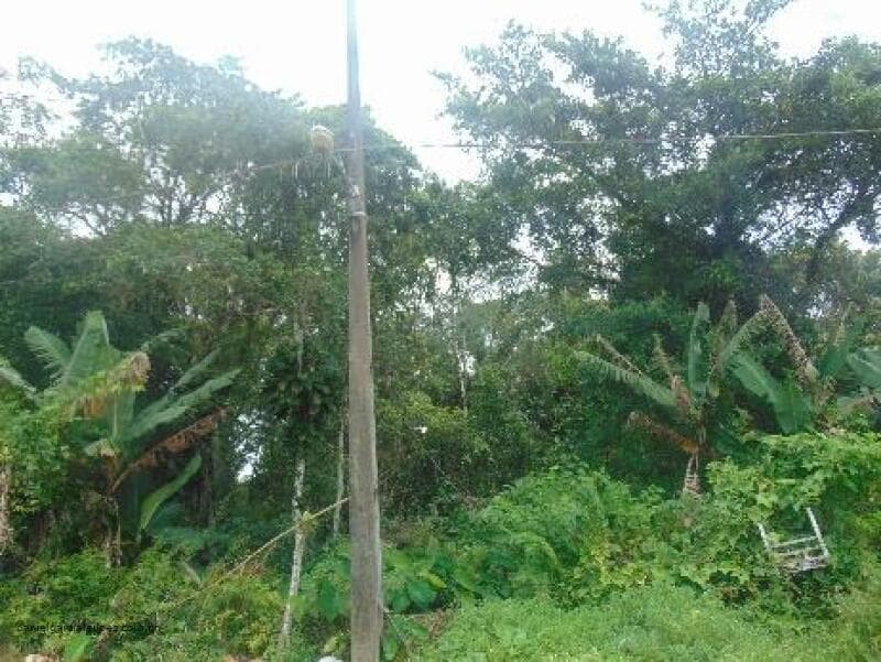 Foto 4 de 6: Terreno em leilão em Itapoá - SC — LOTE 009 Imóvel