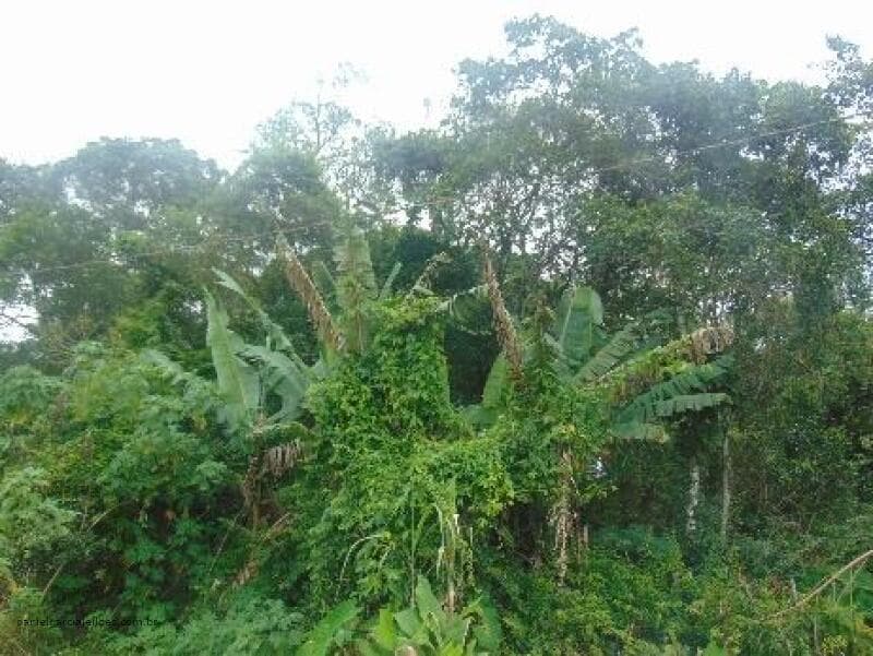 Foto 5 de 6: Terreno em leilão em Itapoá - SC — LOTE 009 Imóvel