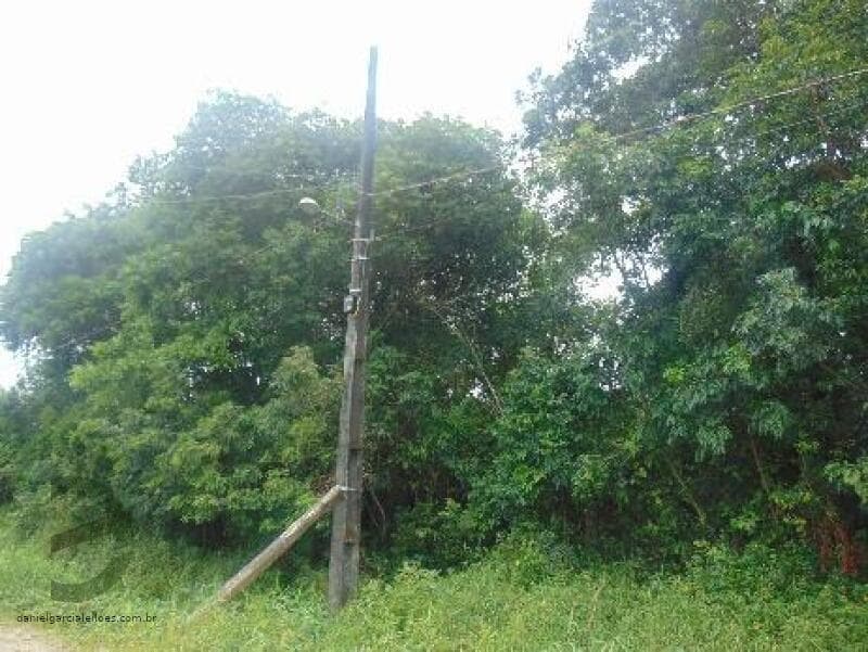Foto 4 de 6: Terreno em leilão em Itapoá - SC — LOTE 010 Imóvel