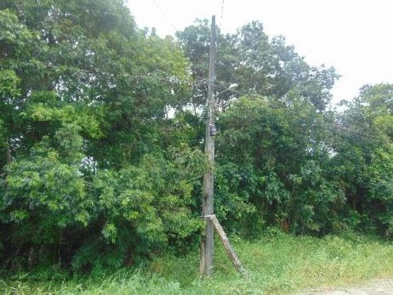 Foto 5 de 6: Terreno em leilão em Itapoá - SC — LOTE 010 Imóvel