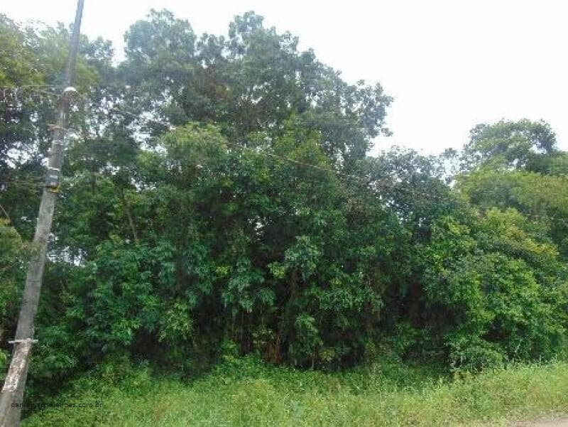 Foto 6 de 6: Terreno em leilão em Itapoá - SC — LOTE 010 Imóvel