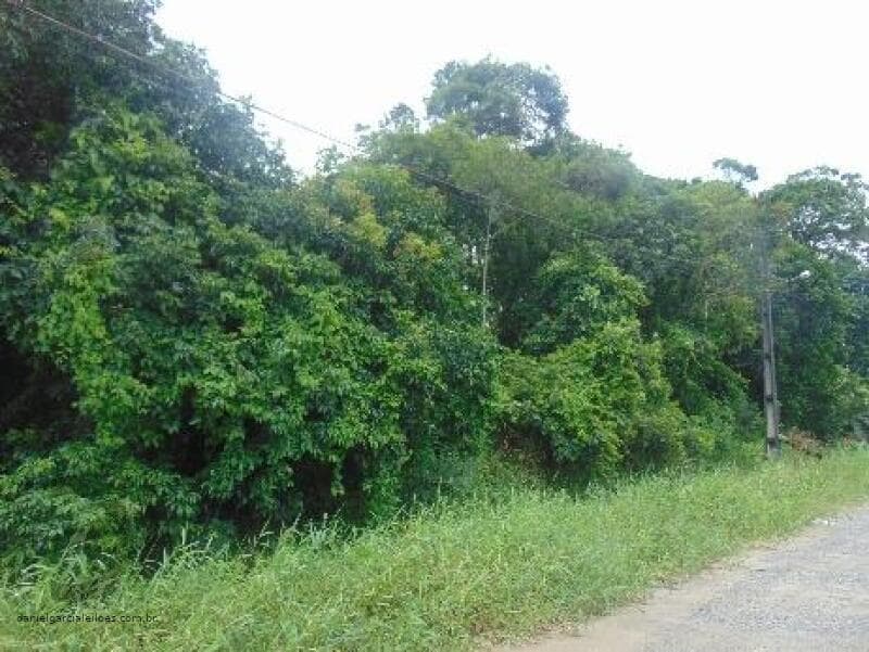 Foto 5 de 6: Terreno em leilão em Itapoá - SC — LOTE 011 Imóvel