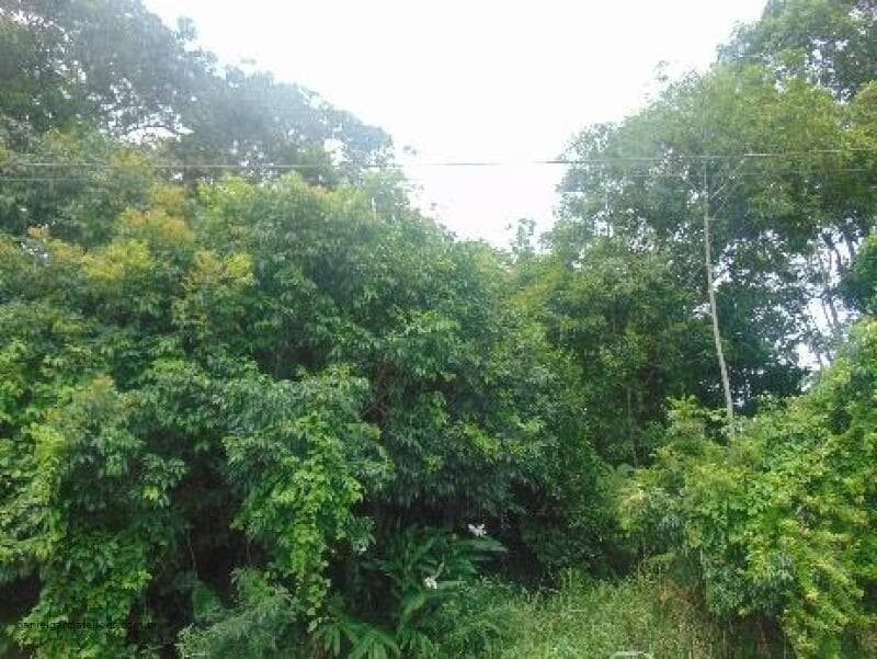 Foto 6 de 6: Terreno em leilão em Itapoá - SC — LOTE 011 Imóvel