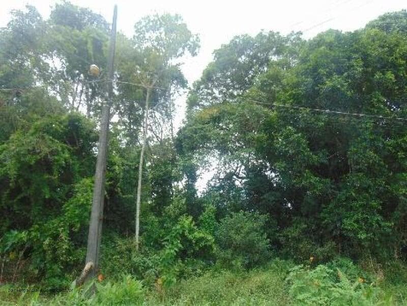 Foto 4 de 5: Terreno em leilão em Itapoá - SC — LOTE 012 Imóvel