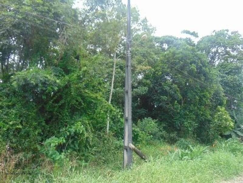Foto 5 de 5: Terreno em leilão em Itapoá - SC — LOTE 012 Imóvel