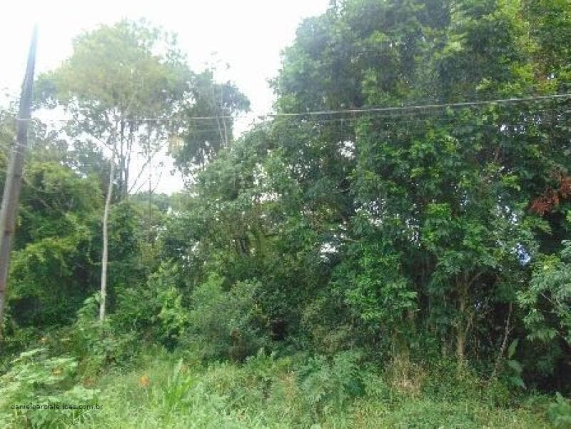 Foto 5 de 5: Terreno em leilão em Itapoá - SC — LOTE 013 Imóvel