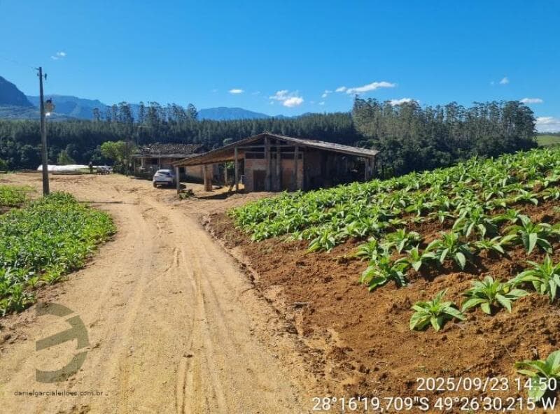 Foto 1 de 13: Area Rural em leilão em Orleans - SC — LOTE 001 Imóvel Rural