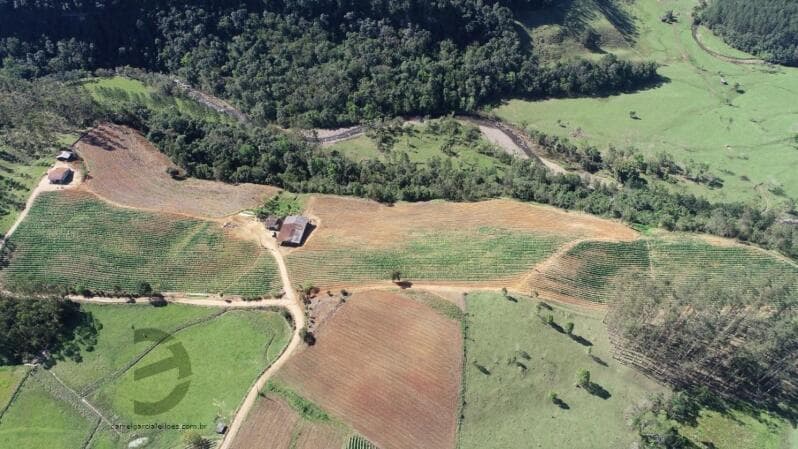 Foto 10 de 13: Area Rural em leilão em Orleans - SC — LOTE 001 Imóvel Rural