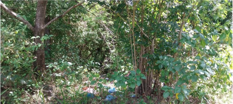 Terreno em leilão em Goiana - PE — LOTE 014 IMÓVEL