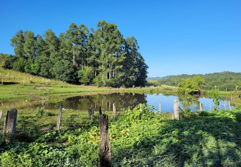 Foto 4 de 6: Area Rural em leilão em Chuvisca - RS — LOTE 001 Fração de Imóvel
