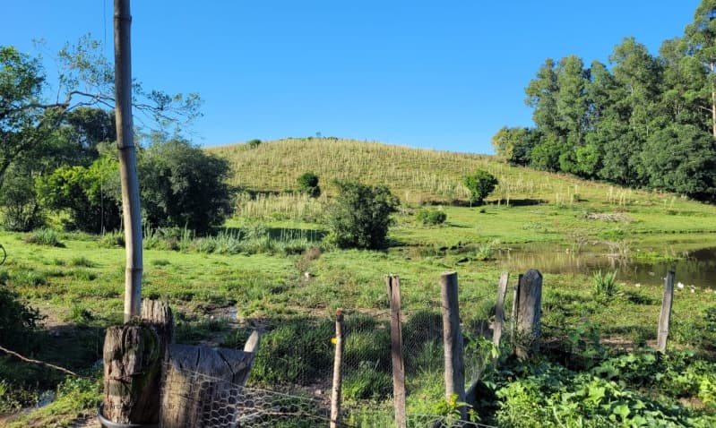 Foto 5 de 6: Area Rural em leilão em Chuvisca - RS — LOTE 001 Fração de Imóvel