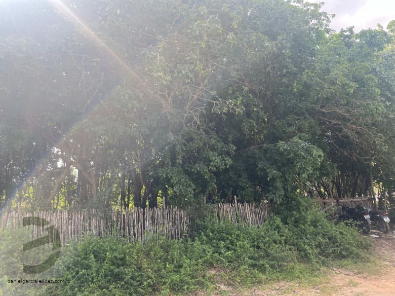 Foto 2 de 7: Terreno em leilão em Beberibe - CE — LOTE 021 IMÓVEL