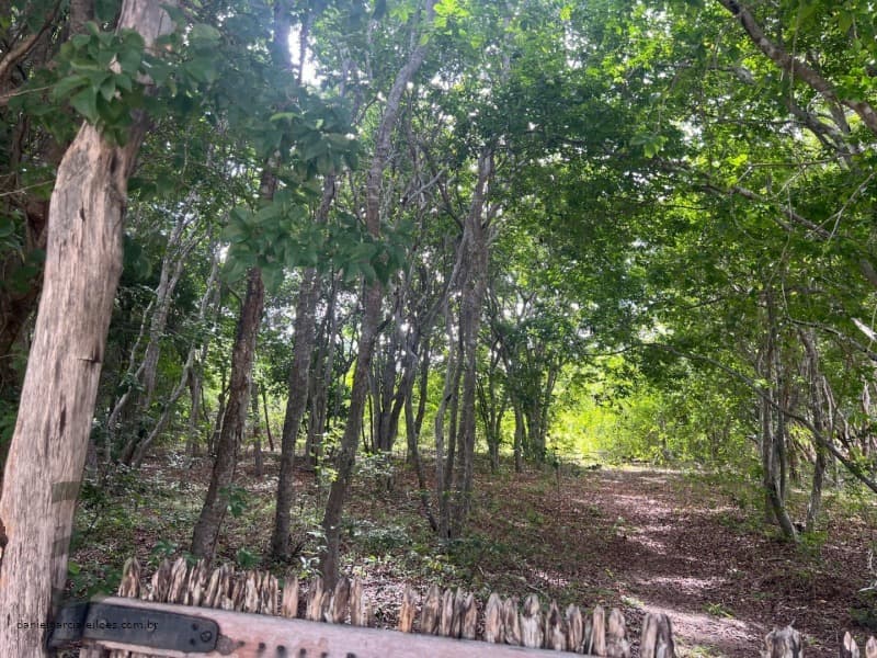 Foto 1 de 7: Terreno em leilão em Beberibe - CE — LOTE 021 IMÓVEL
