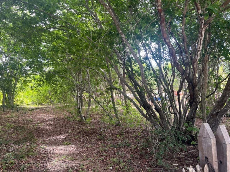 Foto 3 de 7: Terreno em leilão em Beberibe - CE — LOTE 021 IMÓVEL