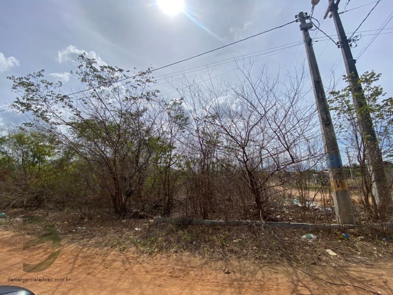 Foto 4 de 5: Terreno em leilão em Pacatuba - CE — LOTE 024 IMÓVEL