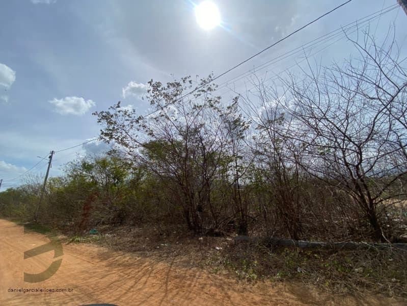 Foto 1 de 5: Terreno em leilão em Pacatuba - CE — LOTE 024 IMÓVEL
