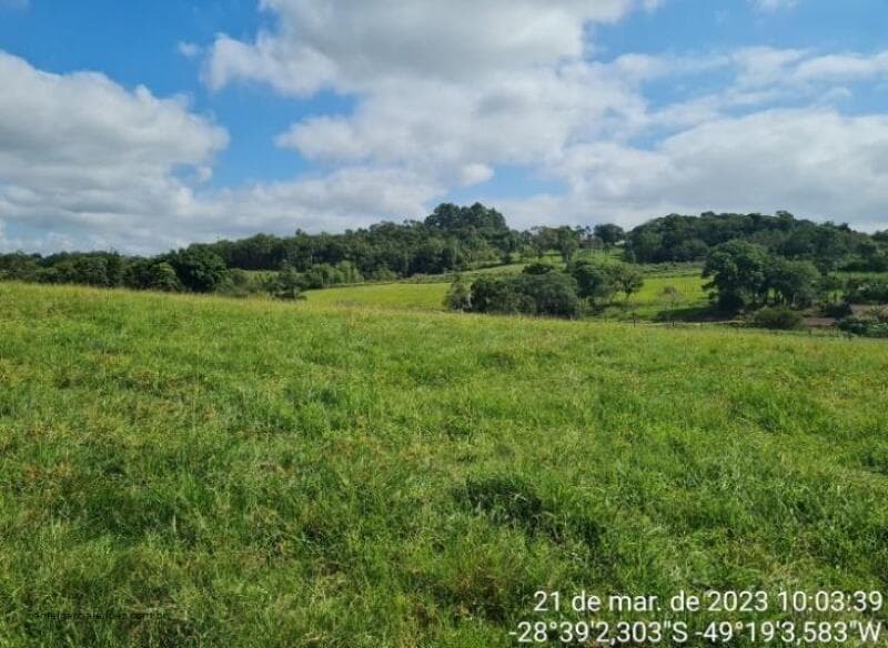 Foto 4 de 13: Terreno em leilão em Criciúma - SC — LOTE 002 Imóvel