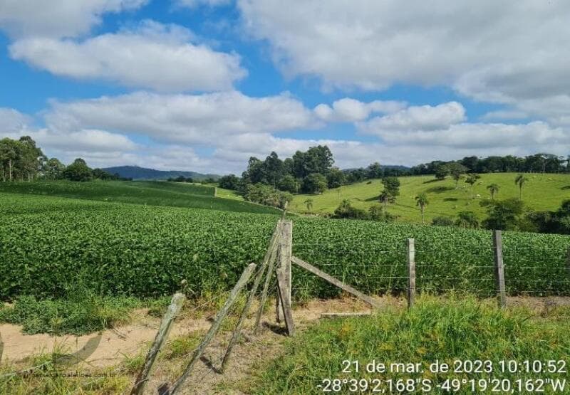 Foto 6 de 13: Terreno em leilão em Criciúma - SC — LOTE 002 Imóvel
