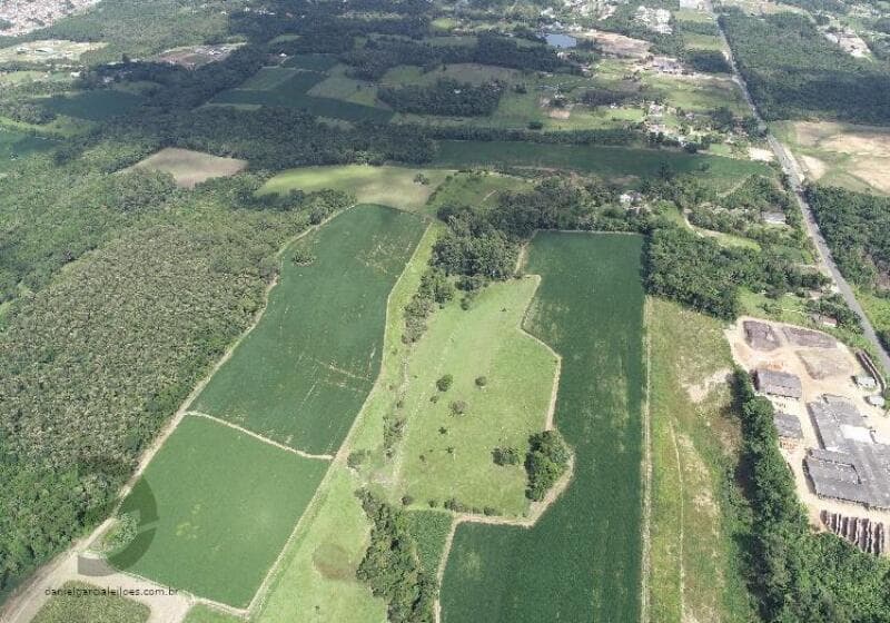 Foto 11 de 13: Terreno em leilão em Criciúma - SC — LOTE 002 Imóvel