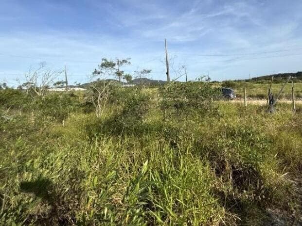 Foto 9 de 11: Terreno em leilão em Imbituba - SC — LOTE 011 Imóvel