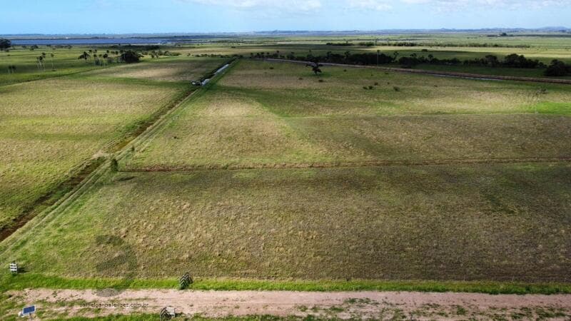 Foto 20 de 23: Terreno em leilão em Tubarão - SC — LOTE 001 TERRENOS