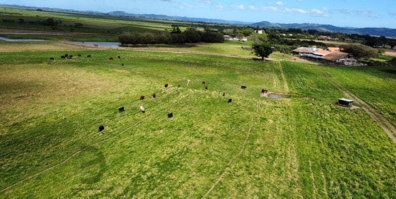Foto 22 de 23: Terreno em leilão em Tubarão - SC — LOTE 001 TERRENOS