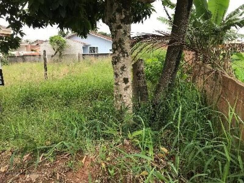 Foto 15 de 16: Terreno em leilão em Joinville - SC, bairro Paranaguamirim — LOTE 003 Terreno