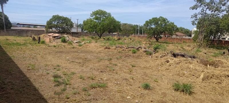 Foto 4 de 12: Terreno em leilão em Palmas - TO, bairro Loteamento Palmas, 2ª Etapa Fase I — LOTE 001 Terreno