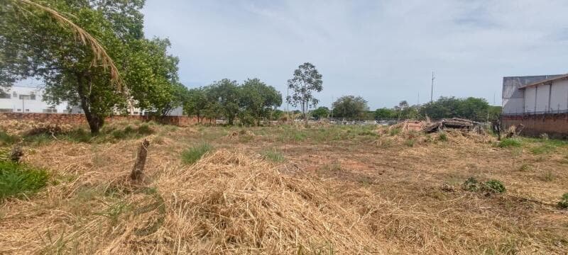 Foto 11 de 12: Terreno em leilão em Palmas - TO, bairro Loteamento Palmas, 2ª Etapa Fase I — LOTE 001 Terreno
