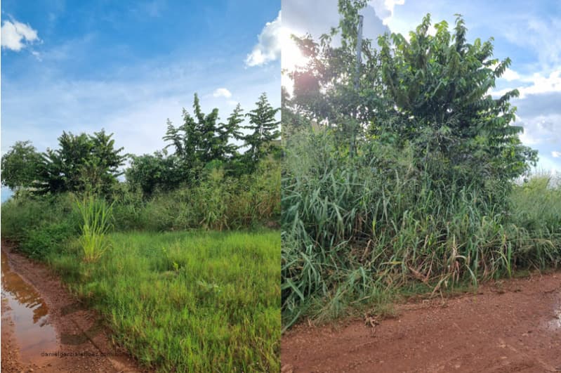 Foto 1 de 3: Terreno em leilão em Cuiabá - MT, bairro Coxipó da Ponte — LOTE 001 Imóvel