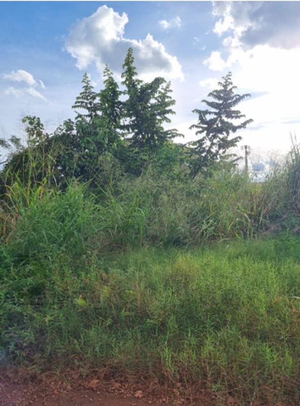 Foto 3 de 3: Terreno em leilão em Cuiabá - MT, bairro Coxipó da Ponte — LOTE 001 Imóvel