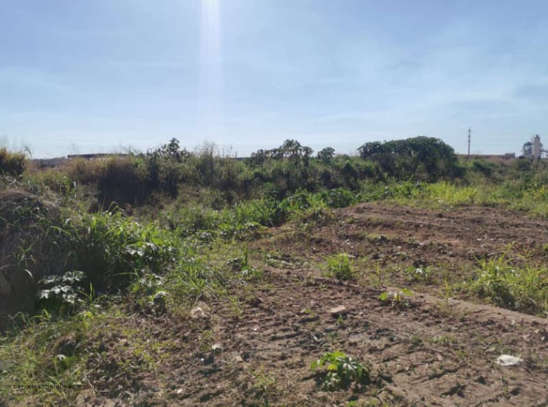 Foto 4 de 6: Terreno em leilão em Sinop - MT — LOTE 016 Imóvel