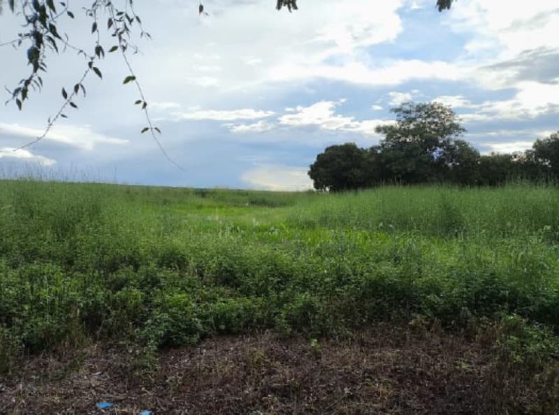 Foto 8 de 10: Terreno em leilão em Ipiranga Do Norte - MT, bairro Centro — LOTE 028 Imóveis