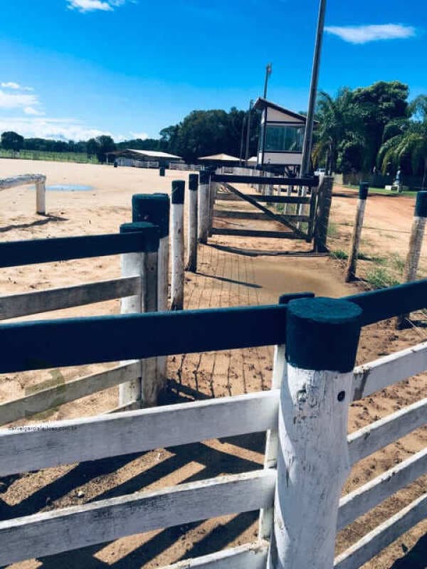 Foto 22 de 74: Area Rural em leilão em Barra Do Garças - MT — LOTE 044 IMÓVEL