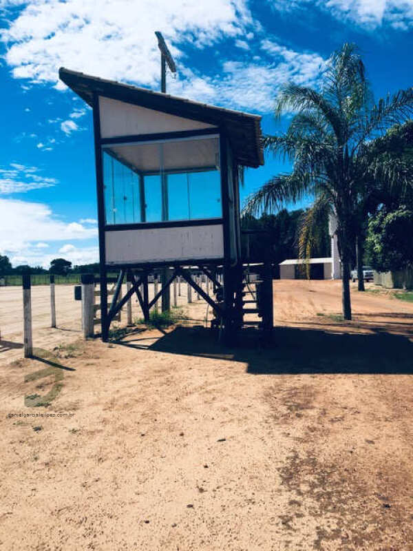 Foto 34 de 74: Area Rural em leilão em Barra Do Garças - MT — LOTE 044 IMÓVEL