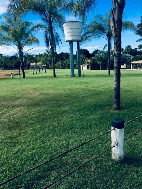 Foto 43 de 74: Area Rural em leilão em Barra Do Garças - MT — LOTE 044 IMÓVEL