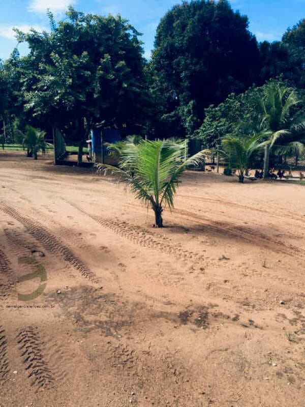 Foto 24 de 74: Area Rural em leilão em Barra Do Garças - MT — LOTE 044 IMÓVEL